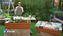 E-garden: l'orto sul balcone