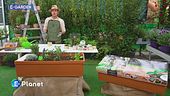 E-garden: l'orto sul balcone