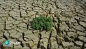Climate change trilioni in fumo
