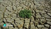 Climate change trilioni in fumo