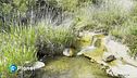 Sicilia senz'acqua
