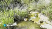 Sicilia senz'acqua