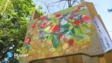 Arte e natura al femminile