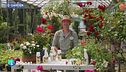 E-Garden: i benefici dell'ortica