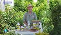 E-Garden: gli arbusti da siepe