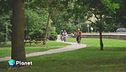 Turisti in bicicletta
