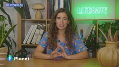 Le storie di LifeGate