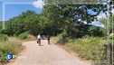 Bellezza in bicicletta