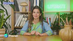 Lo spreco alimentare