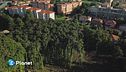 Difendiamo il bosco