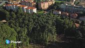 Difendiamo il bosco