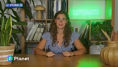 Le storie di Lifegate