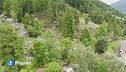 Il giardino delle meraviglie