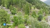 Il giardino delle meraviglie