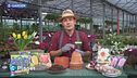 E-Garden: il momento per piantare i fiori