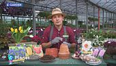 E-Garden: il momento per piantare i fiori