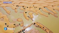 Le storie di Lifegate