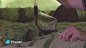La magia del Sagrantino