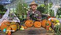 E-Garden: i must have di Halloween