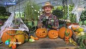 E-Garden: i must have di Halloween