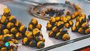 Castagne: tra gusto e tutela