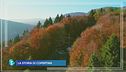 La magia del foliage