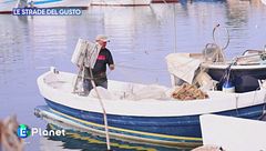 Le Strade del Gusto: il Pescato di Scoglitti