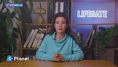 Come si è conclusa la Cop 29