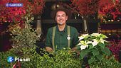 E-Garden