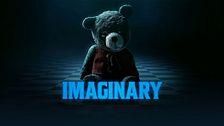 Imaginary