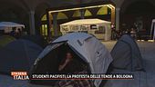 Studenti pacifisti, la protesta delle tende a Bologna