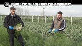 DE DEVITIIS: Quanto costa la verdura che mangiamo?