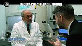 PECORARO: La cura che "frega" il tumore