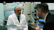 PECORARO: La cura che "frega" il tumore