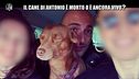 REI: Il cane di Antonio è morto o è ancora vivo?