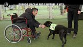 VIVIANI: Quando un cane può salvarti la vita