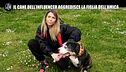 CIZCO: Il cane dell'influencer aggredisce la figlia dell'amica