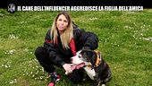 CIZCO: Il cane dell'influencer aggredisce la figlia dell'amica