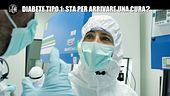 PECORARO: Diabete tipo 1: sta per arrivare una cura?