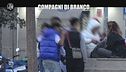 REI: Compagni di branco