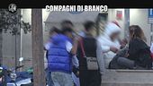 REI: Compagni di branco