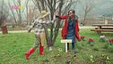 Il guerrilla gardening di Carla Gozzi e Sharon