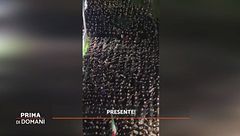 Acca Larentia, il corteo fascista