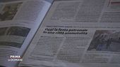 Odio social, non solo Giovanna Pedretti