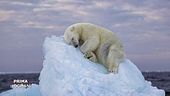 L'inquinamento climatico