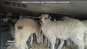 Agnello a Pasqua: una tradizione da superare?