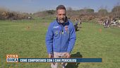 Come comportarsi con i cani pericolosi