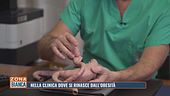 Nella clinica dove si rinasce dall'obesità