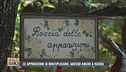 Le apparizioni si moltiplicano, adesso anche a Ischia