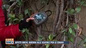 Affitti brevi, guerra alle scatole per le chiavi